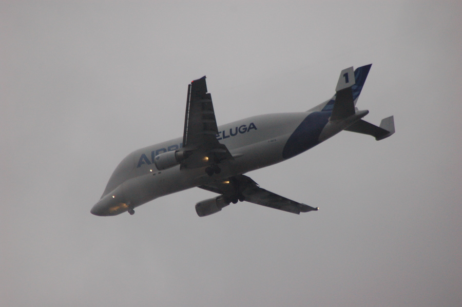 Pic /JPG/Airbus/A300/A300-608ST Baluga/F-GSTA//DSC_6326.JPG